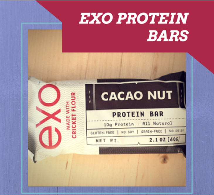 Best Paleo Snack EXO Protein bars