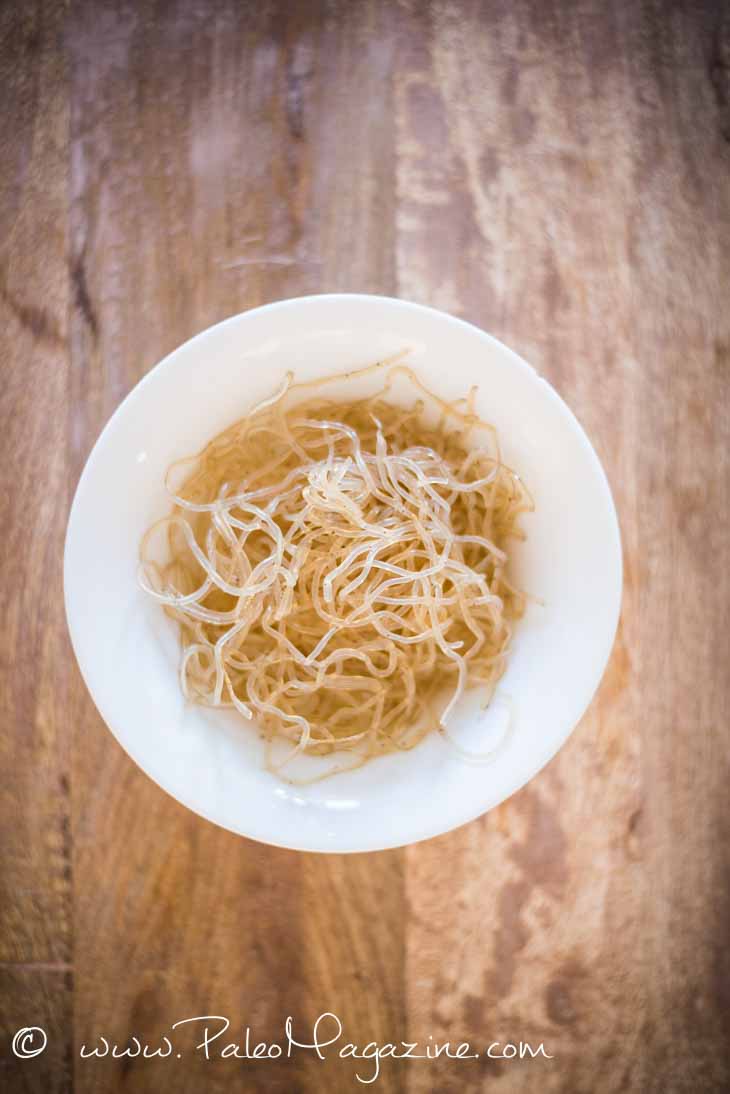 paleo kelp noodles