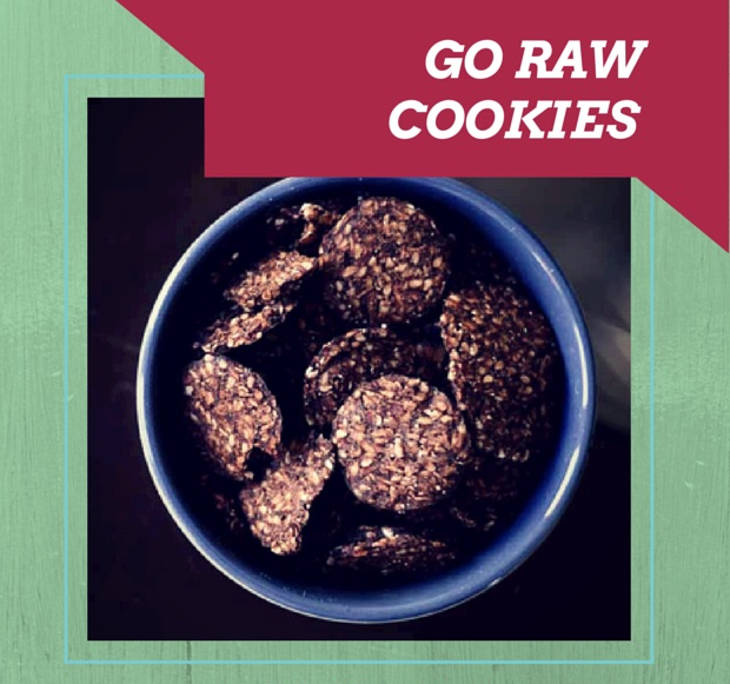 Best Paleo Snack Go Raw Cookies