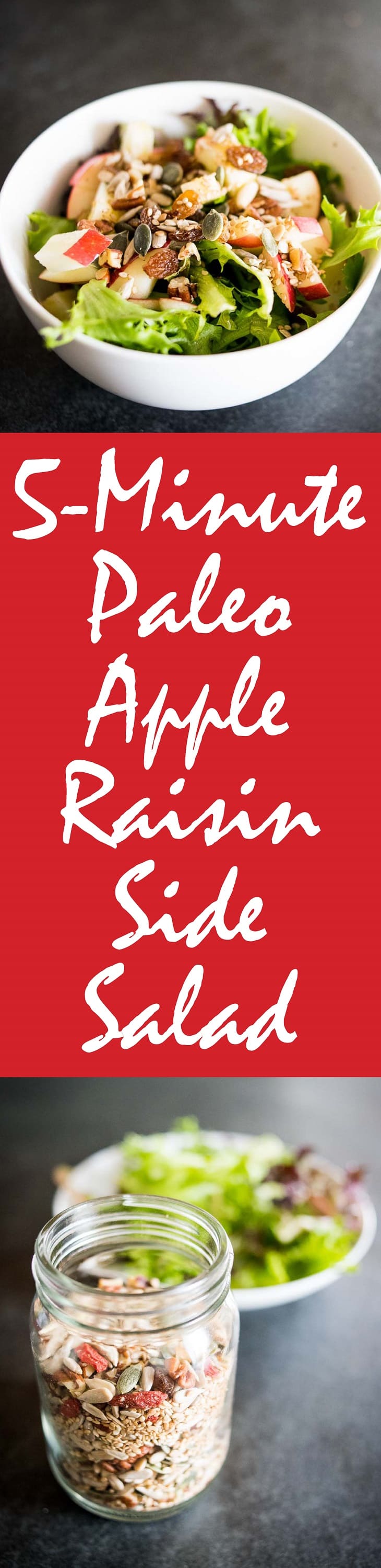 5-Minute Paleo Apple Raisin Side Salad Recipe #paleo - http://paleoflourish.com/fast-paleo-apple-raisin-side-salad-recipe