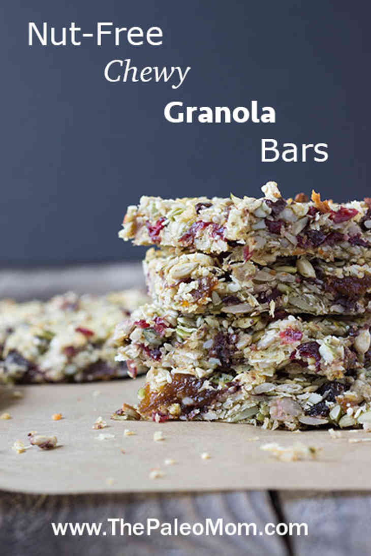 Nut-Free Paleo Chewy Granola Bars