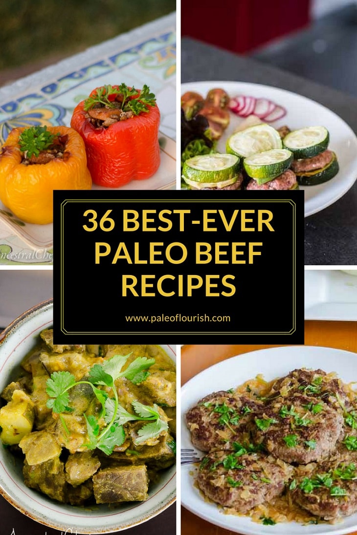 36 Best-Ever Paleo Beef Recipes https://paleoflourish.com/paleo-beef-recipes