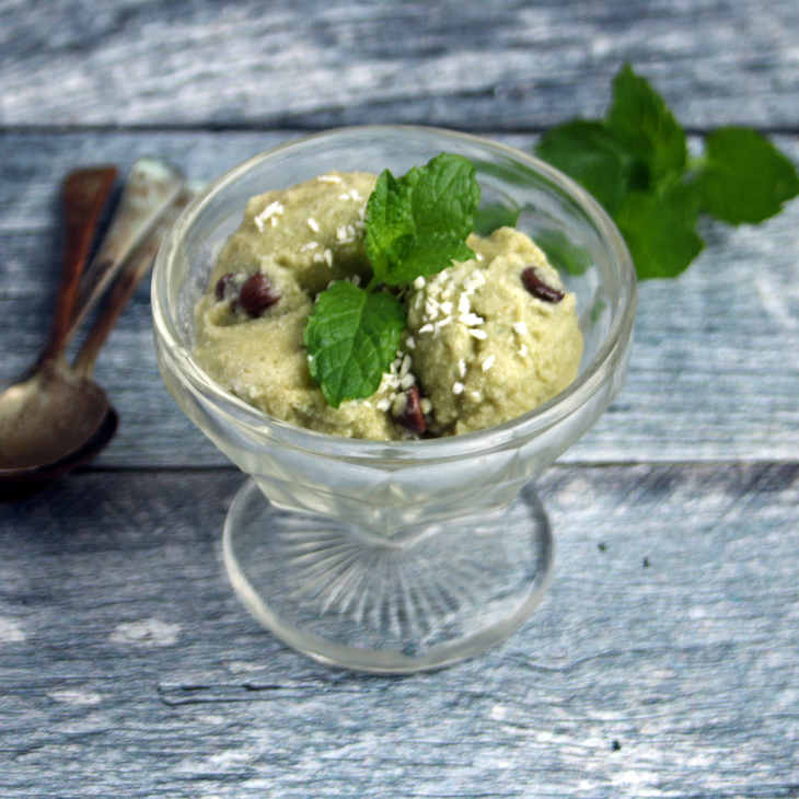 Paleo Mint Chocolate Chip Ice Cream Recipe #paleo https://paleoflourish.com/paleo-mint-chocolate-chip-ice-cream-recipe