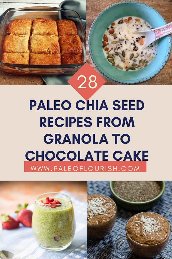 28 Paleo Chia Seed Recipes From Granola to Chocolate Cake https://paleoflourish.com/paleo-chia-seed-recipes